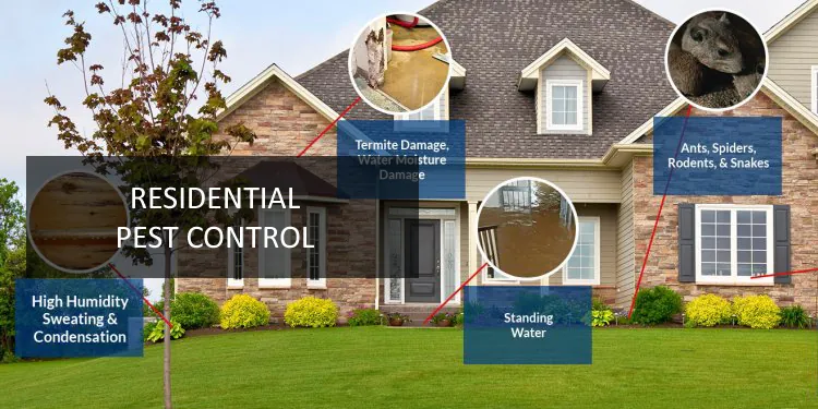 Residential pest control infographic showing termite damage, humidity issues, and common pests like ants, spiders, and rodents.