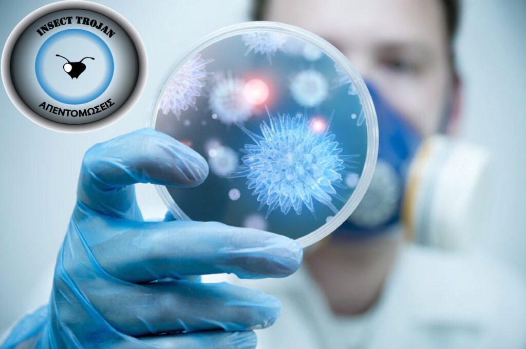 Απολύμανση μικροοργανισμοί, ιοί, μικρόβια και βακτήρια