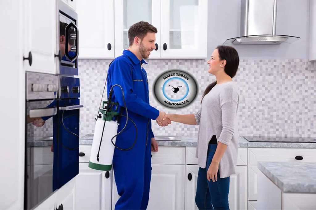 Professional pest control services in a residential kitchen